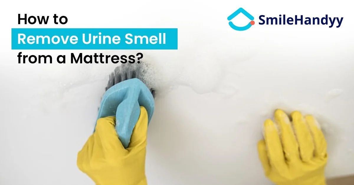 Remove Urine Smell from a Mattress