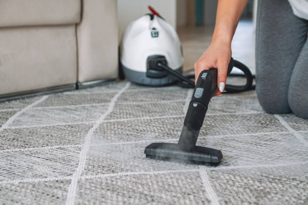 How to Clean Home Carpet