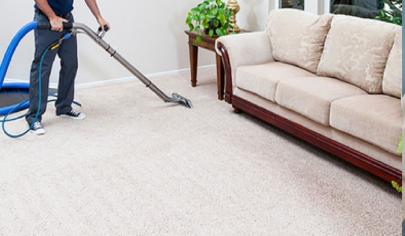 Why go for professional carpet cleaning?