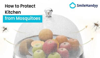 Protect Kitchen from Mosquitoes