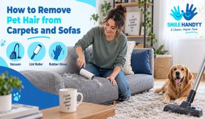 Remove Pet Hair From Carpets and Sofas