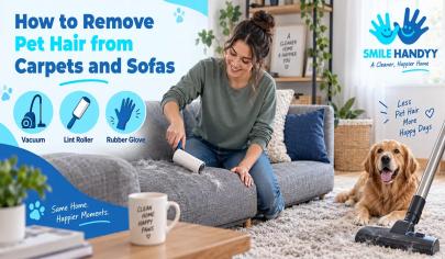 Remove Pet Hair From Carpets and Sofas