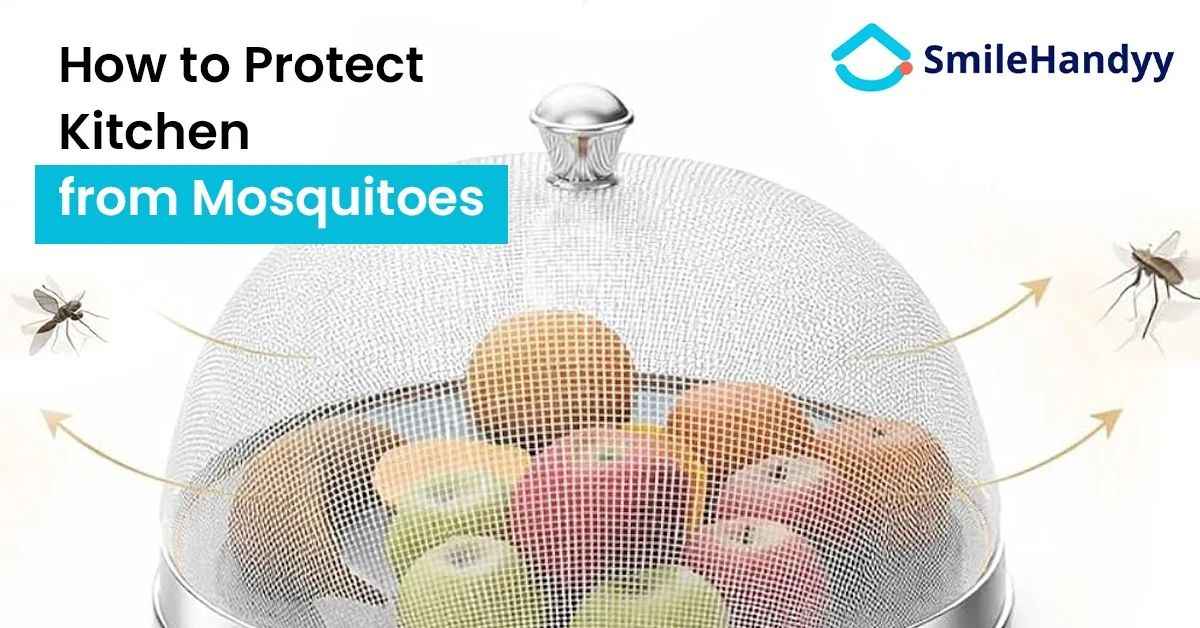 Protect Kitchen from Mosquitoes