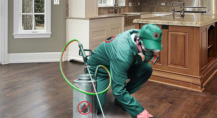 Reasons You Don't Want to Delay Pest Control