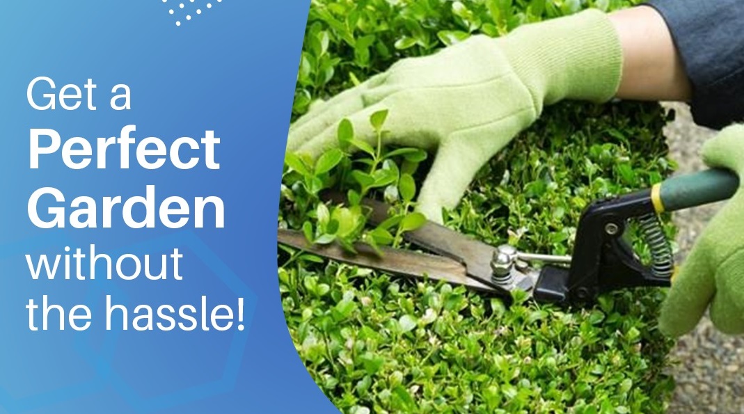 Garden Maintenance Dubai