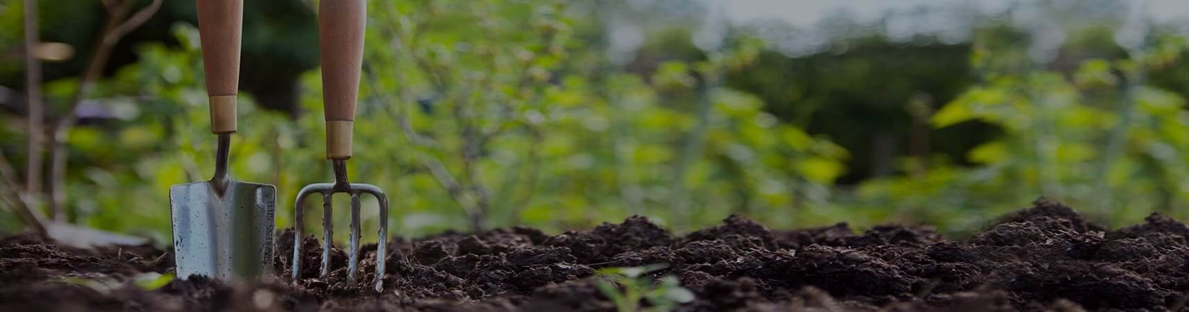 Garden Maintenance Sharjah